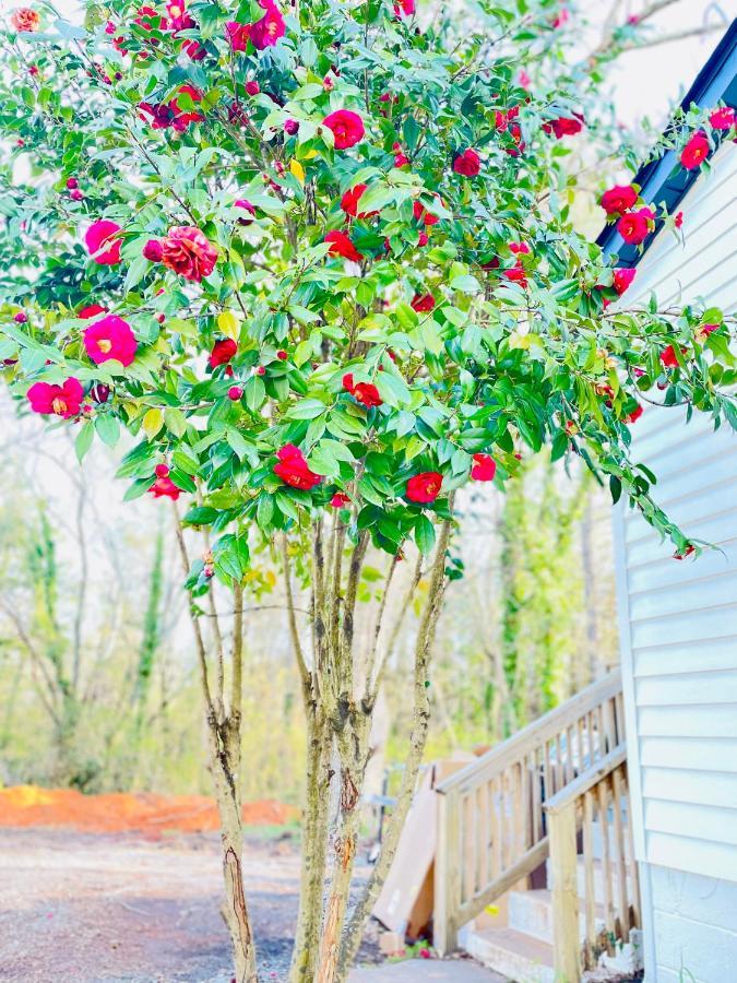 Bountyland Cottage - Lake Keowee - Mountains - Clemson University Seneca Exteriér fotografie